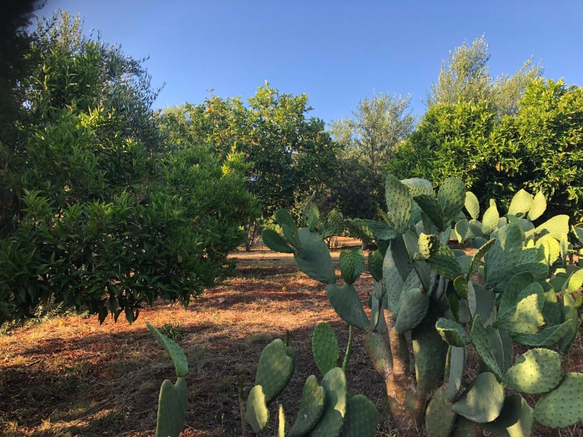 Beautiful Farm House Διαμέρισμα Φιλιατρά Εξωτερικό φωτογραφία