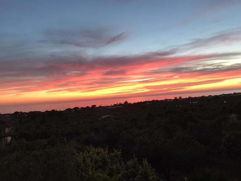 Beautiful Farm House Διαμέρισμα Φιλιατρά Εξωτερικό φωτογραφία